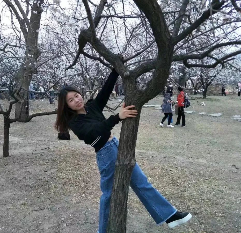 风格化风格化傅海峰.jpg 图片