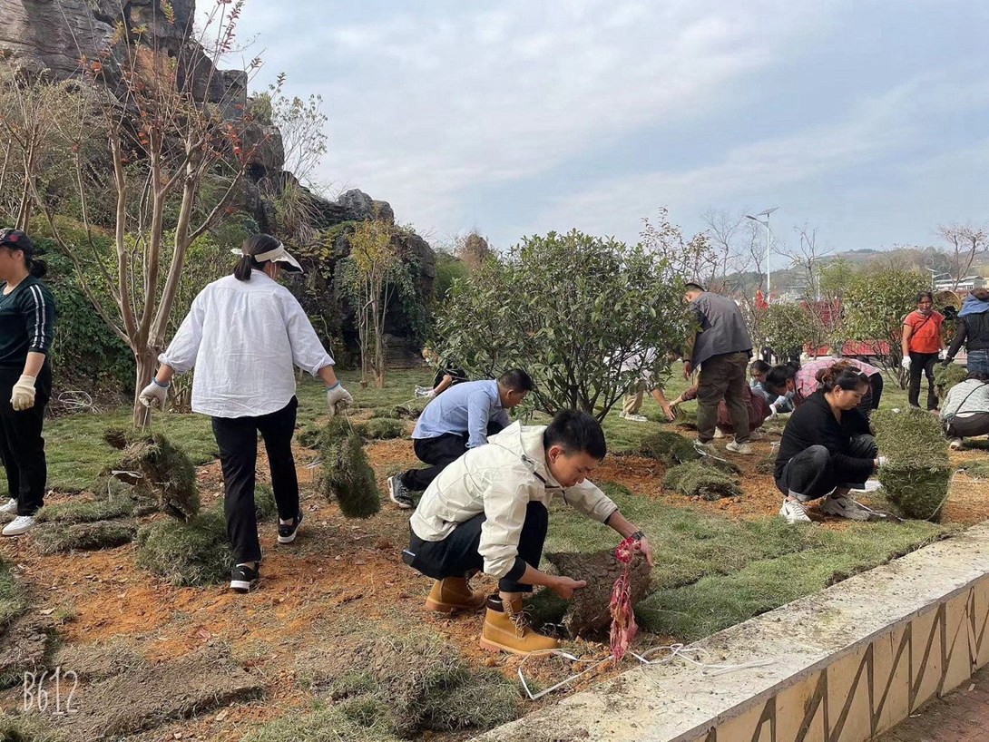开云app官方在线入口（筹）教职工投身校园绿化建设