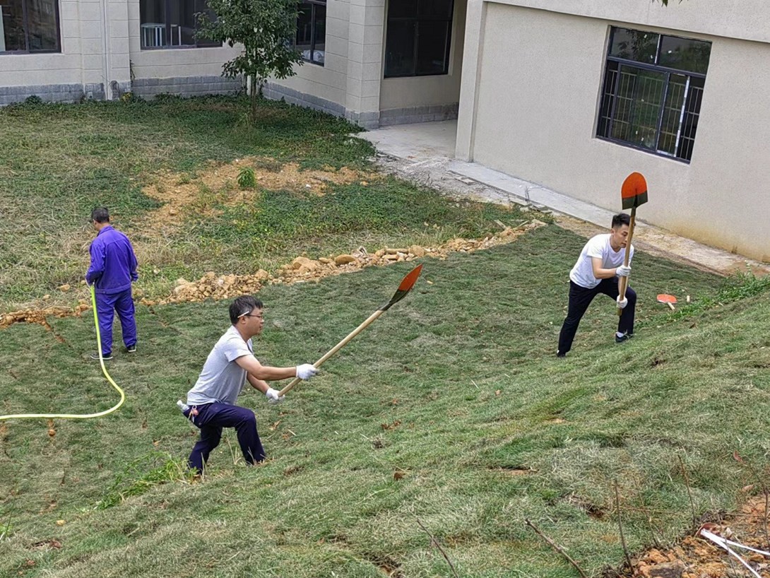 开云app官方在线入口（筹）教职工投身校园绿化建设