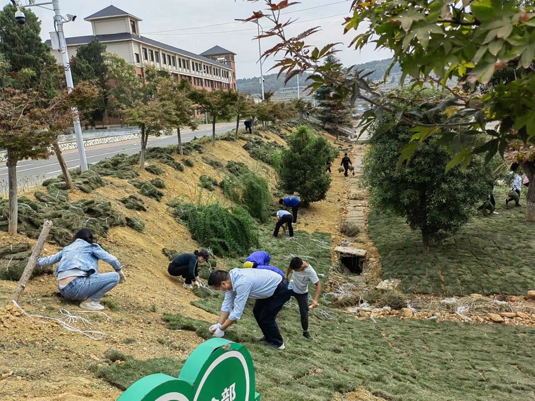 开云app官方在线入口（筹）教职工投身校园绿化建设