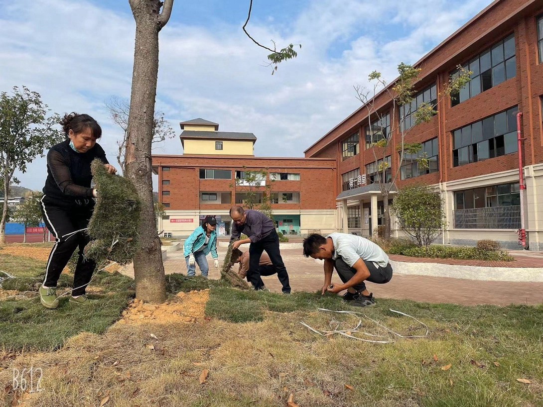 开云app官方在线入口（筹）教职工投身校园绿化建设