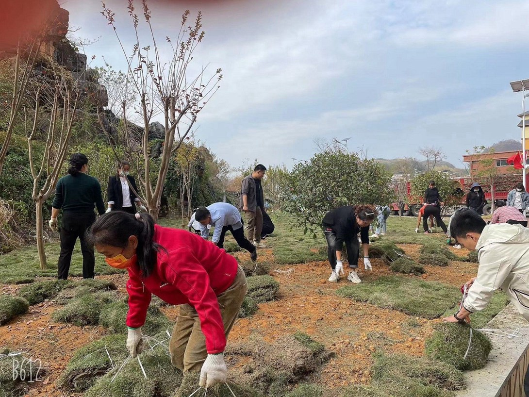 开云app官方在线入口（筹）教职工投身校园绿化建设