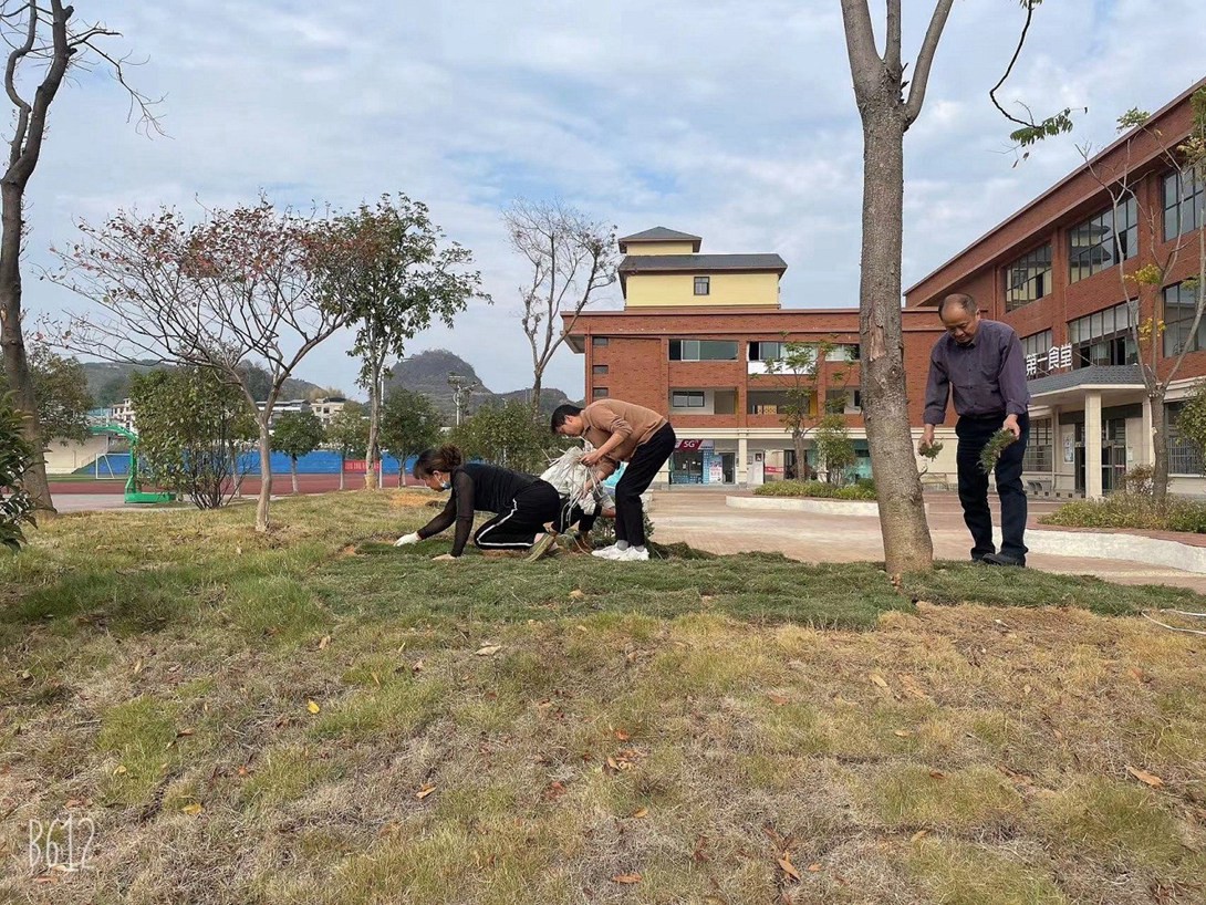 开云app官方在线入口（筹）教职工投身校园绿化建设